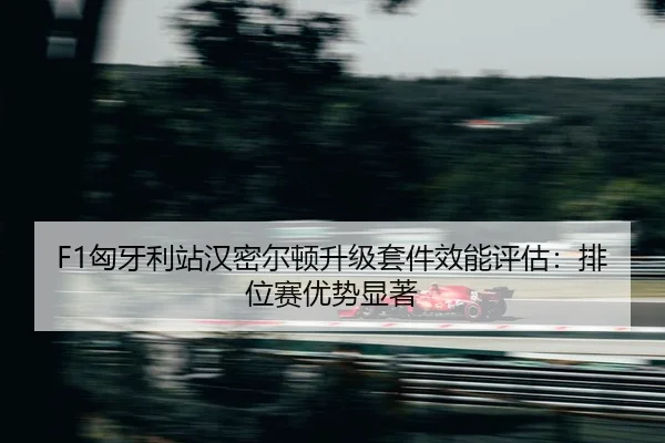 xiong-ya-li-zhan-han-mi-er-dun-sheng-ji-tao-jian-xiao-neng-ping-gu-pai-wei-sai-you-shi-xian-zhu-2-503.jpg
