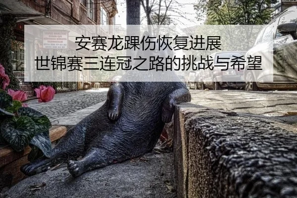 an-sai-long-huai-shang-hui-fu-jin-zhan-shi-jin-sai-san-lian-guan-zhi-lu-de-tiao-zhan-yu-xi-wang-2-777.jpg